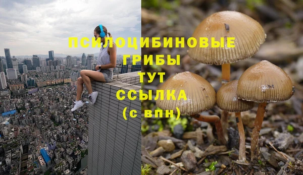 мдпв Заводоуковск