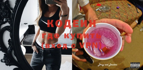 мдпв Заводоуковск
