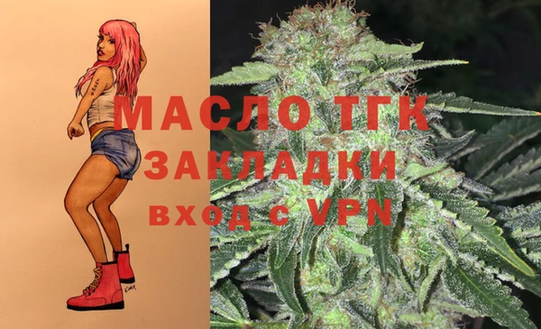 мдпв Заводоуковск