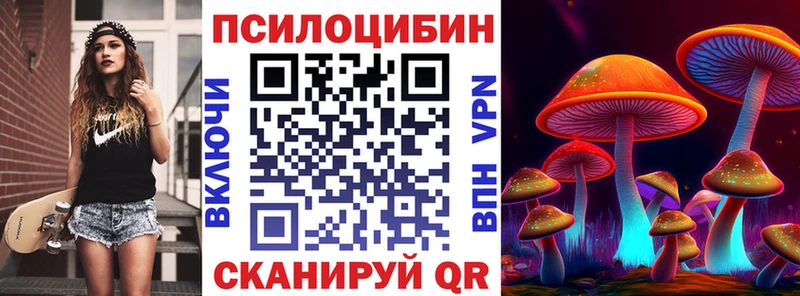 Купить закладки  Нолинск  Галлюциногенные грибы Magic Shrooms 
